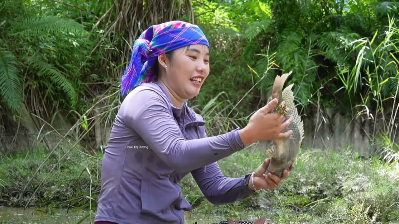 Harvesting a Giant Fish Pond to Sell at the Market – Open a Sweet Jackfruit to Enjoy with My Kids