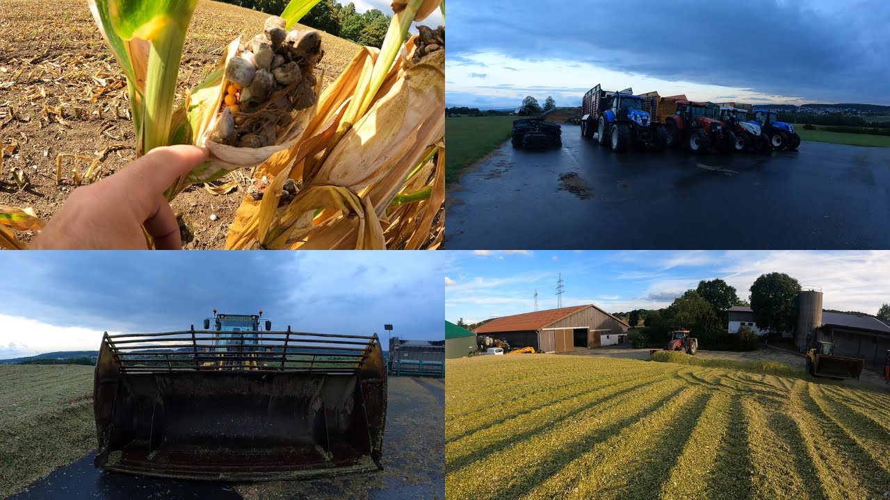 FarmVlog #146 - Start in die Maissaison | Mulch- Direkt und Pflugsaat im Vergleich | riesen Schaufel
