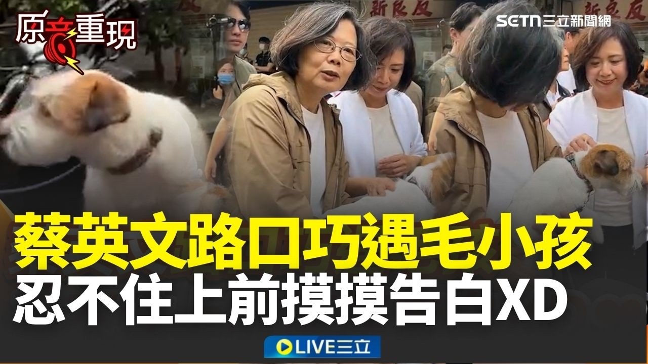 蔡英文重回豐原租屋處感動喊：回家的感覺❤️！路口巧遇超萌毛孩 她忍不住上前摸摸告白：我最愛的狗XD│焦點人物大現場20260328│三立新聞台