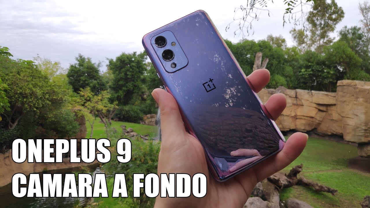 Oneplus 9  - Camara a Fondo