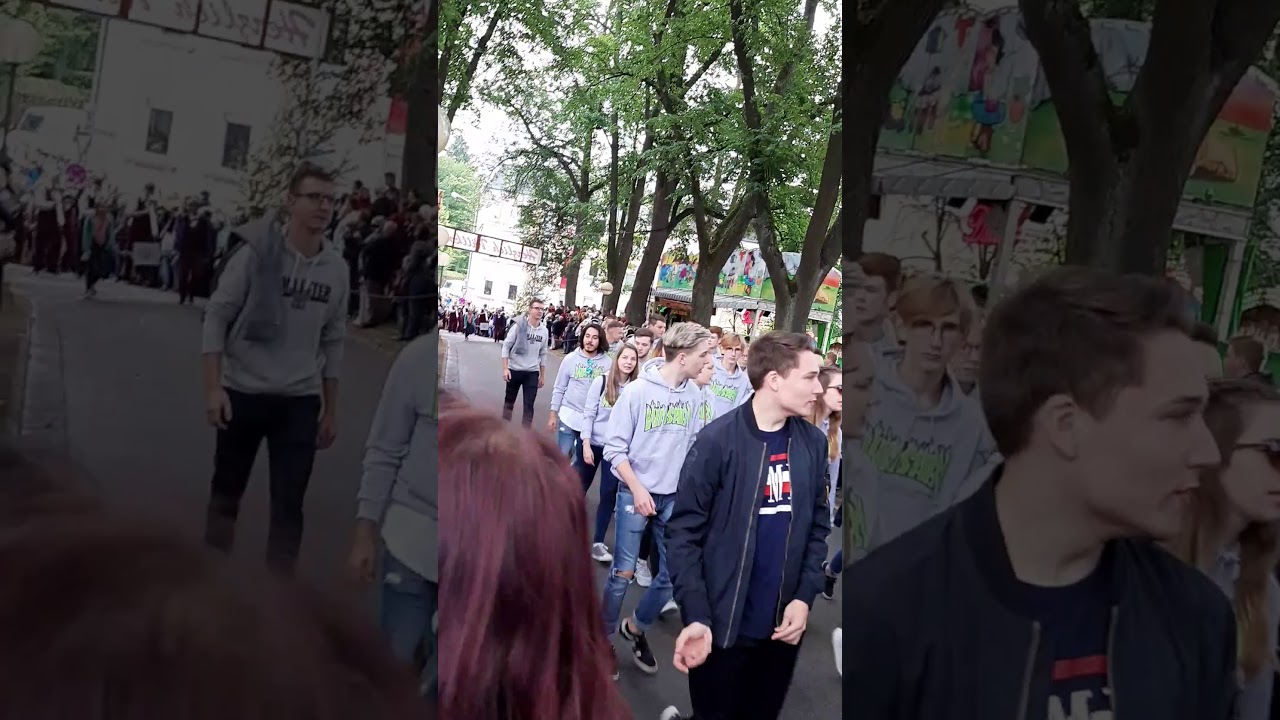 Wiesenfest Selb 2019 Teil 2 .mp4