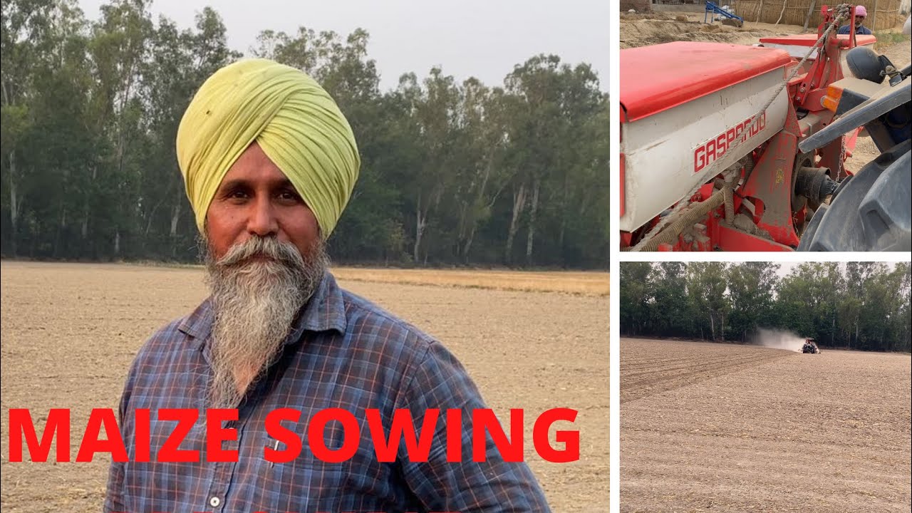 MAIZE SOWING BY MACHINE | AULAKH DAIRY FARM | RAMPURA PHUL | BATHINDA | OUNJAB