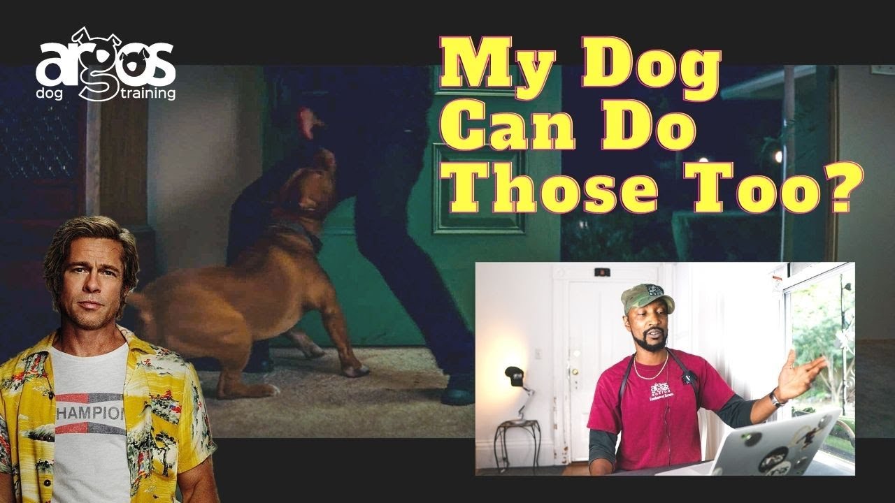 Dog Trainer Reacts To Dog Scenes: Once Upon a Time in Hollywood