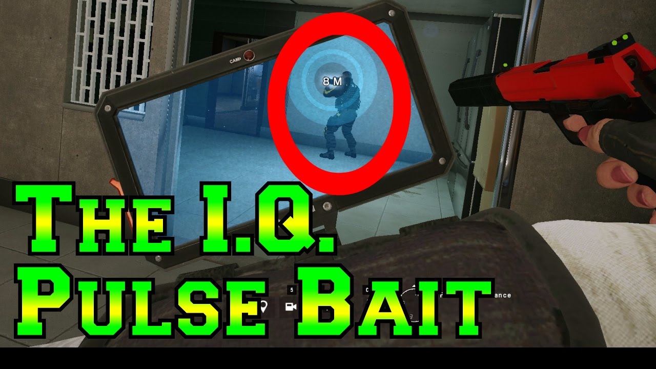 IQ PULSE BAIT - Rainbow Six Siege Velvet Shell