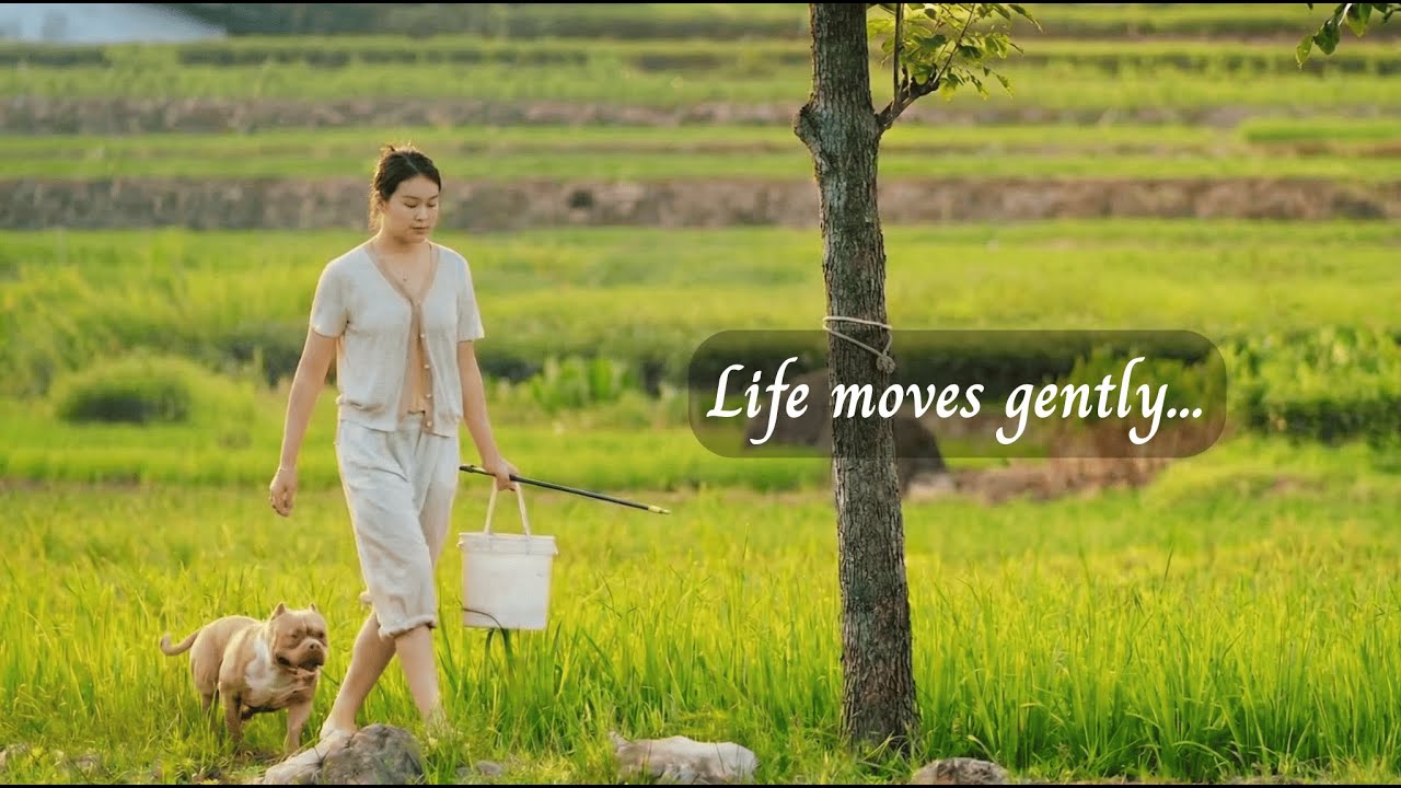 Life moves gently... /a playlist for quiet hours/