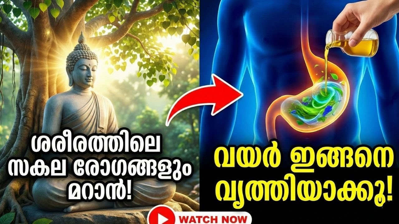 ശരീരത്തിലെ സകല രോഗങ്ങളും മാറാൻ വയർ ഇങ്ങനെ വൃത്തിയാക്കൂ | | Buddha Ayurvedic Health Malayalam