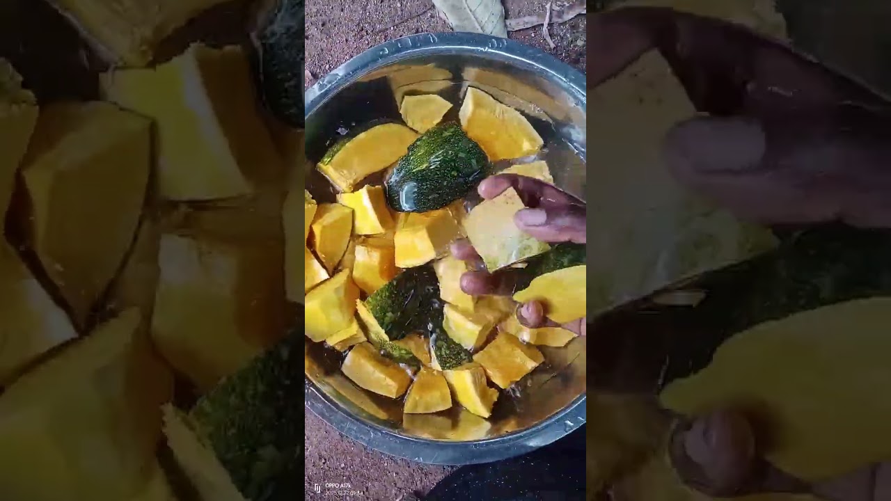 A SIMPLE DAY IN MY LIFE IN THE VILLAGE// WHAT I LOVE  #viral #food #villagelife #cooking 