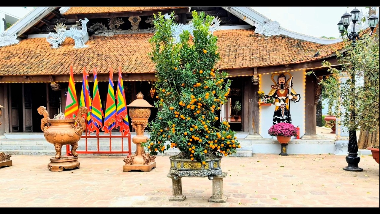 A bit more of a wonder around Hanoi Vietnam
