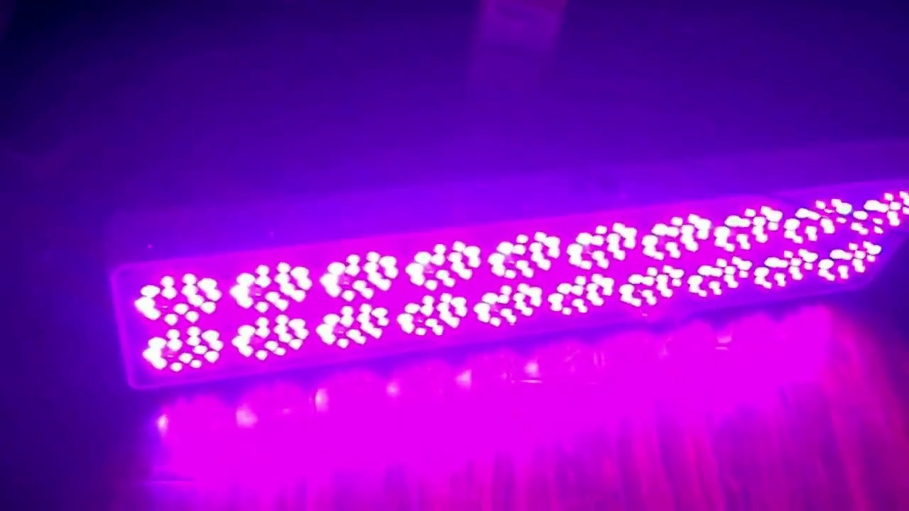 New Apollo 20 led grow light