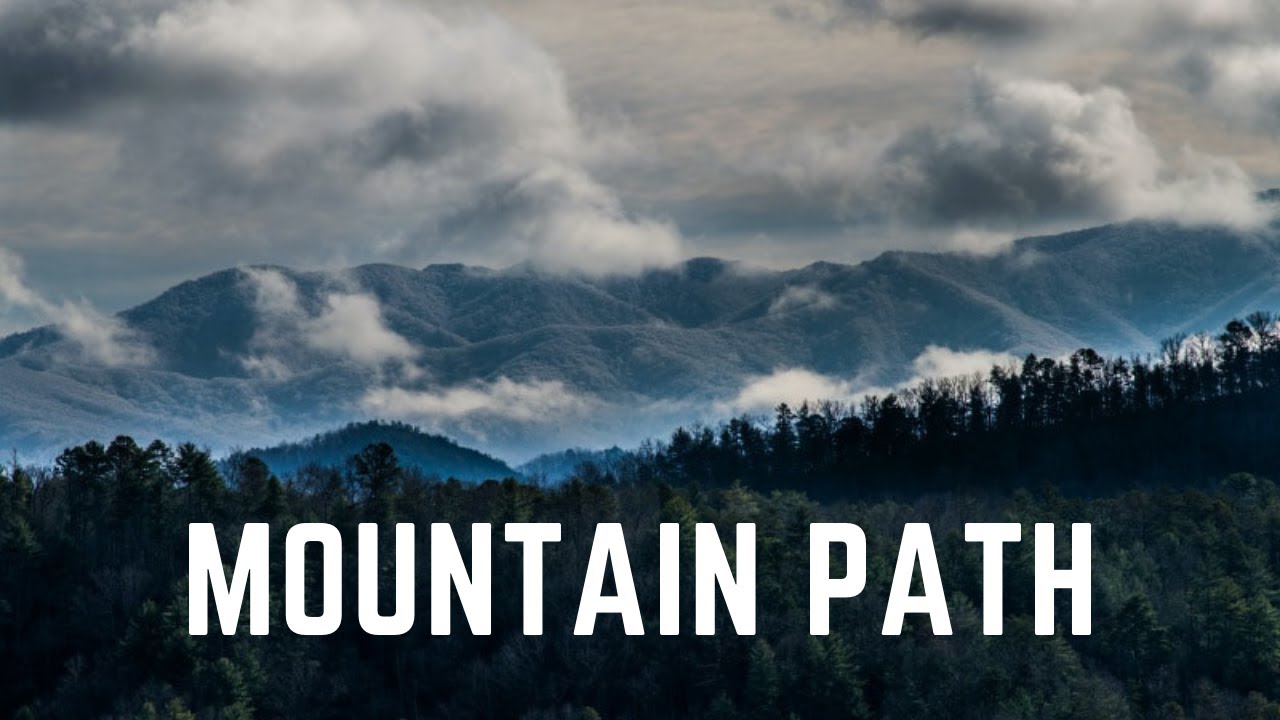 Mountain Path in Appalachia