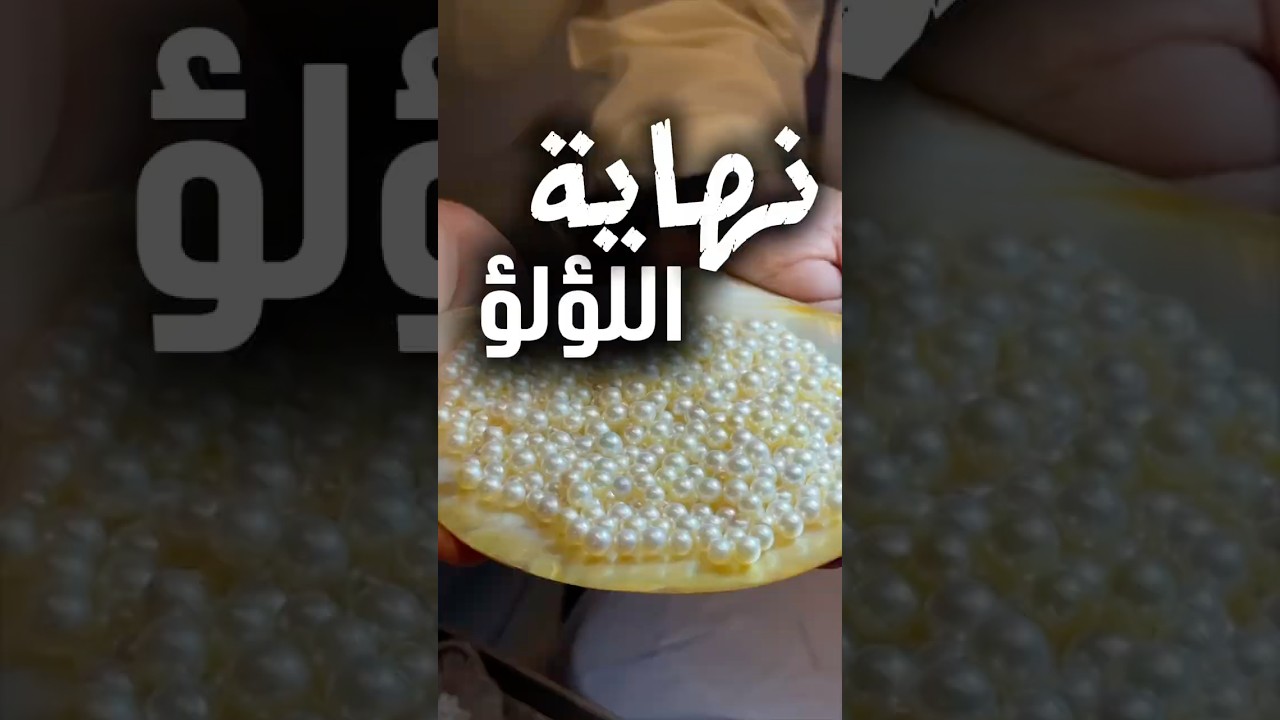 انتهاء تجارة اللؤلؤ بالعالم🦪😱 #لؤلؤ #نهايه #طبيعي#الامارات#ابوظبي #دلمه#محاره #التلقيح #اكسبلور