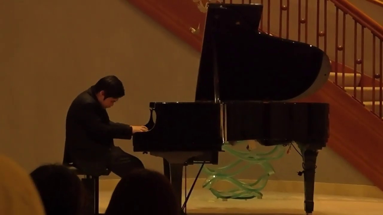2019 アムステルダム 辻井伸行 ストリートコンサート Nobuyuki Tsujii surprise concert at a hotel hall in  Amsterdam.