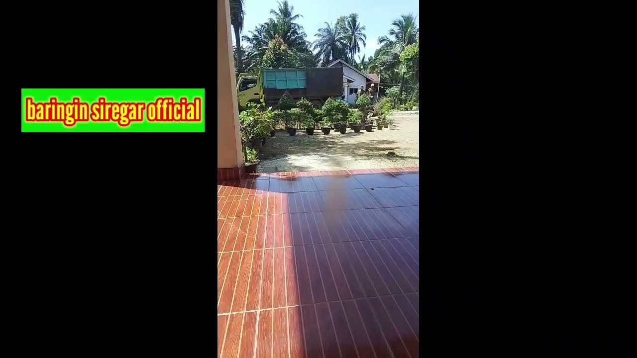 Memantau tukang nimbang sawit