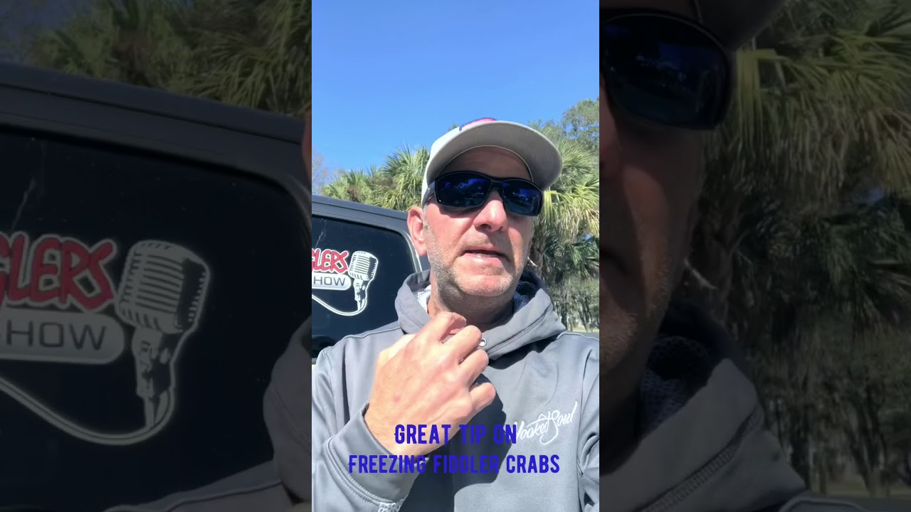 Frozen Fiddler Crabs Catch Big Sheepshead in SC