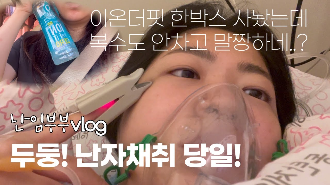 VLOG • 시험관브이로그 | 난자채취 D-day (복수 안차고 컨디션 굿!) 신선이식 전날까지의 기록, 프롤루텍스 시작💉, 신선1차도전