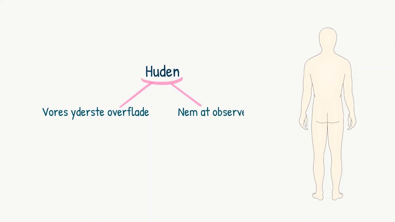 Hud og slimhinder: Introduktion til hud og slimhinder