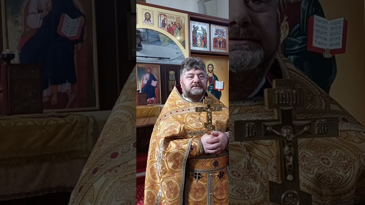 Выйди на солнце! о.Николай Начев 26.10.2025 Марсель 