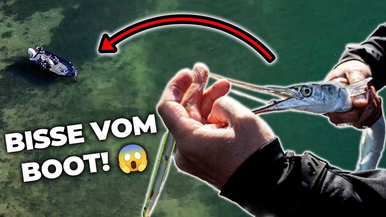 So geht Angeln auf HORNHECHT vom BOOT + Beste K&ouml;der & Montage zum Hornhechtangeln