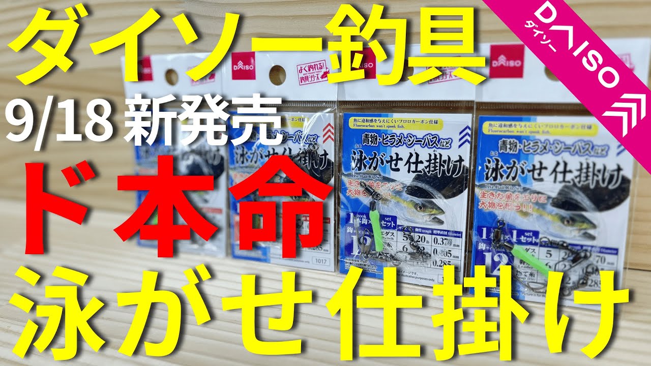 【ダイソー釣具】新商品の泳がせ仕掛けを初心者にも分かるように解説します