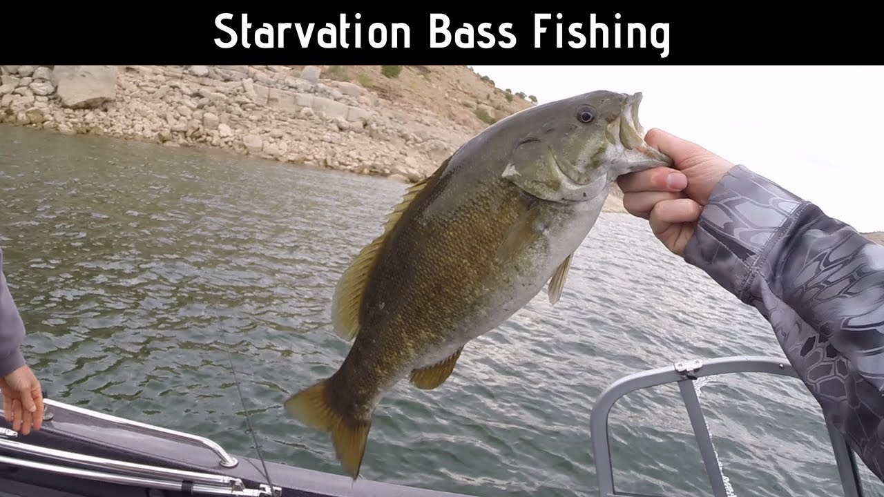 Starvation Bass Fishing