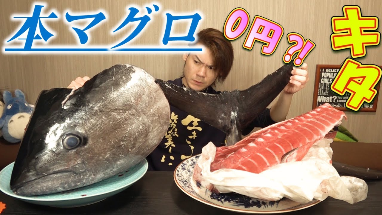 【大食い】100万円クラスの鮪のカマトロの破壊力が凄すぎた～裏ルートでこれが0円？！～