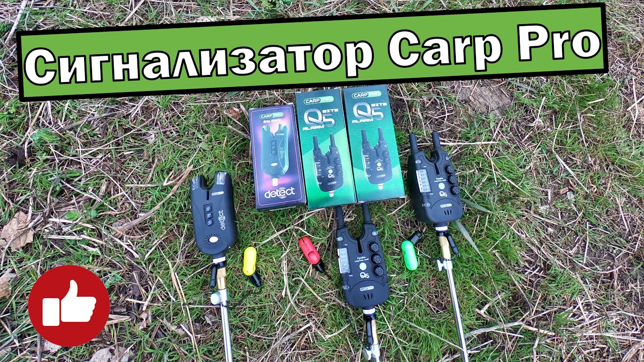 Сигнализатор Carp Pro. Сигнализатор CARP PRO Q5. Carp Pro Bite Alarm Detect.