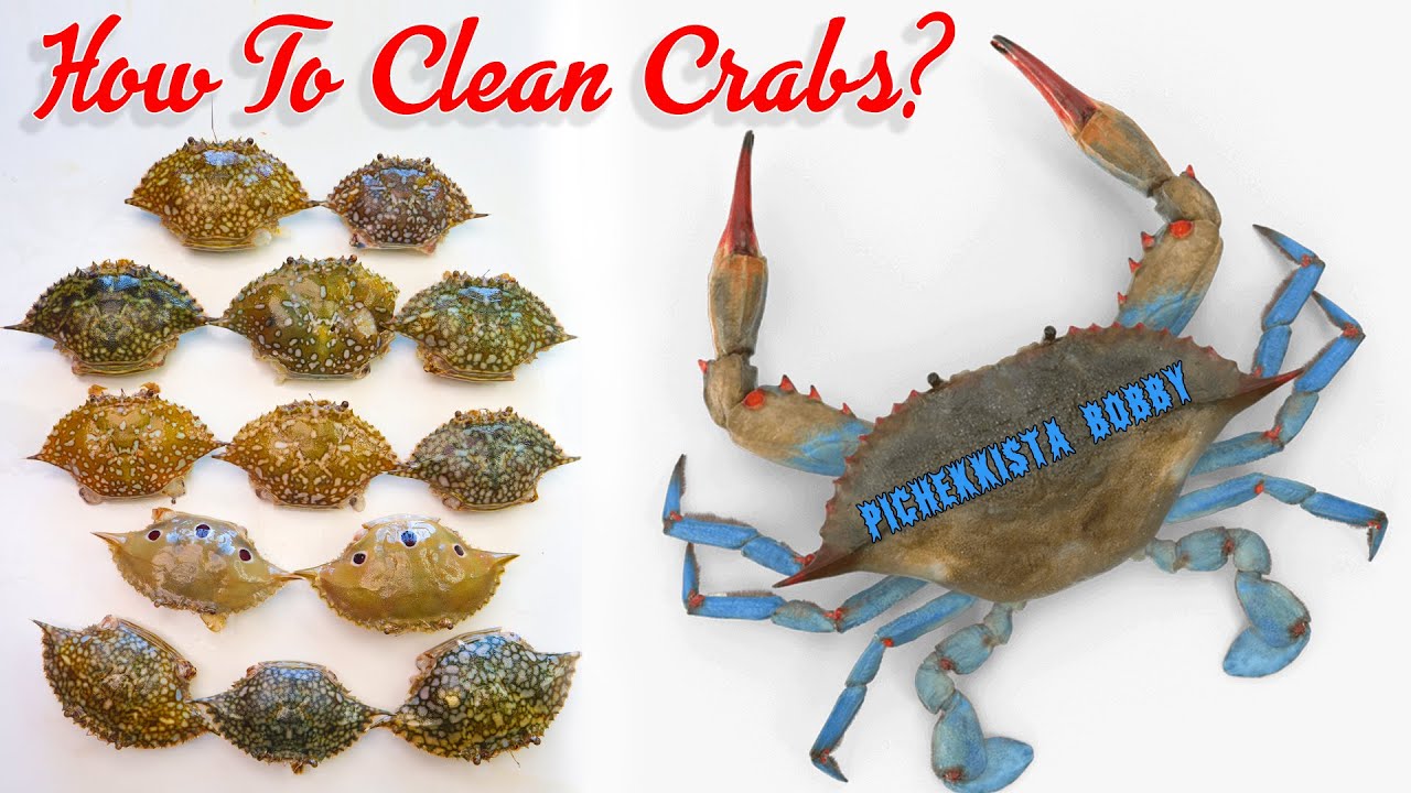 CUT THE CRAB LIKE A PRO BRO....!!!! 😍 పీతలు ఇంత ఈజీగా కడగచ్చని మీకు తెలుసా ! #crabcleaning
