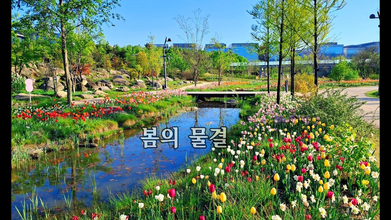 봄의 물결 ( 서울 식물원)
