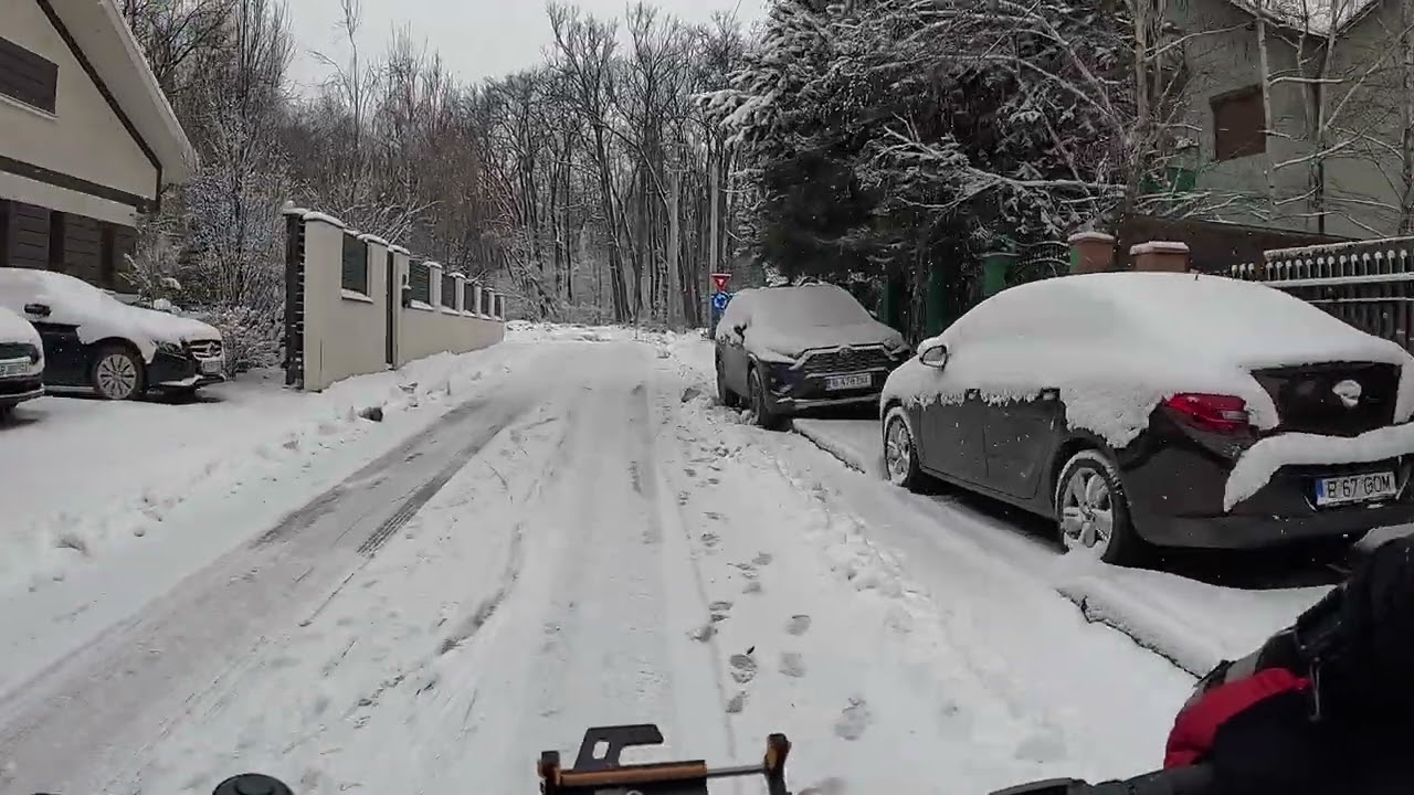 M-a aruncat nărăvașa din șa la intrarea în pădurea Moțoc