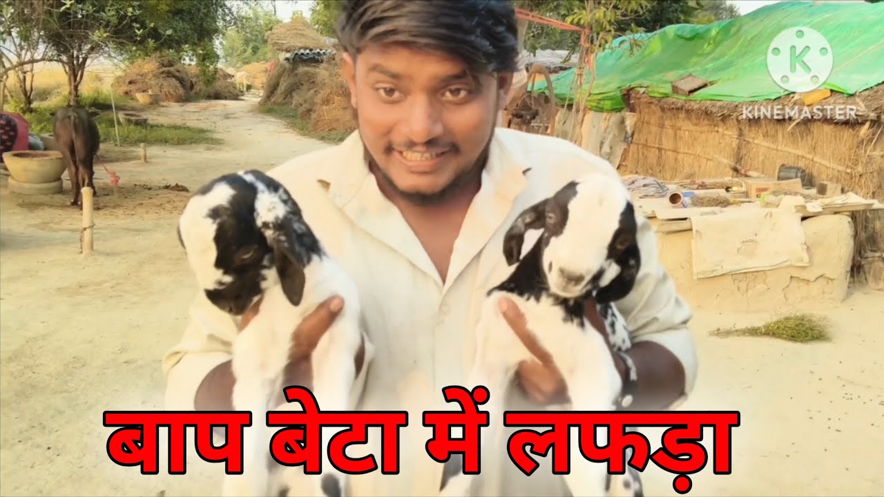 बाप बेटा में लफड़ा Bulli Ojha New Vlog Daily Vlogs Bulli Ojha