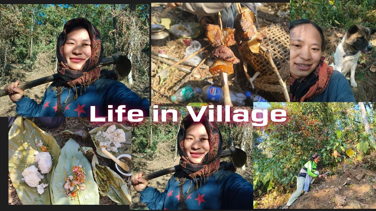 Life in Village l Arunachal Pradesh 🇮🇳