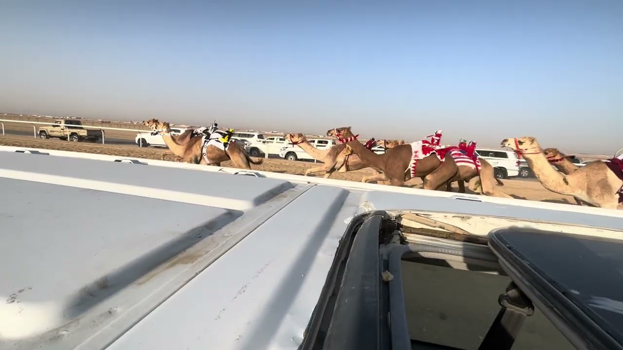 ١٥ شناح ملك مبارك بن حسين القعيمي 