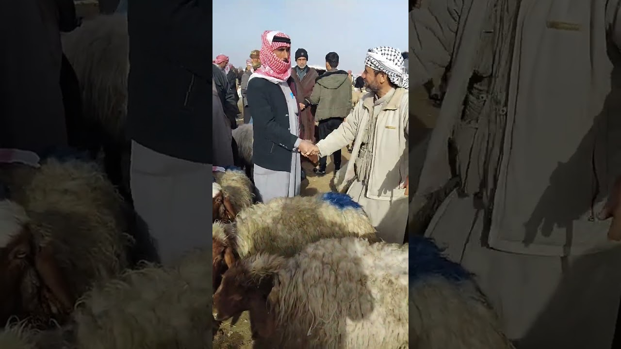 سوق جمه السبت 31\1\2026