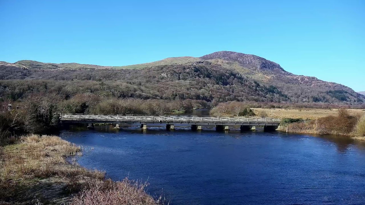 Bywyd Gwyllt Glaslyn Wildlife - Ffrwd Byw / Live Stream 2