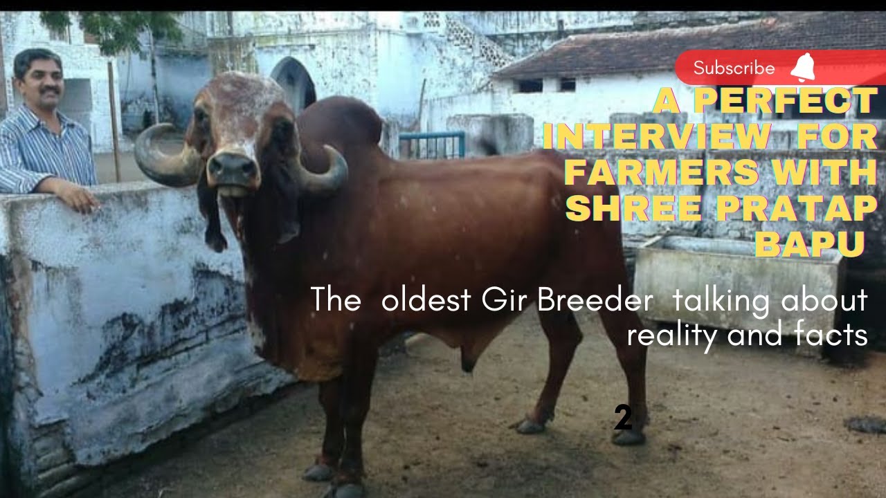 ONE OF THE OLDEST GIR BREEDER "SHREE PRATAPSINH JI RAGHVENDRASINHJI JADEJA" 