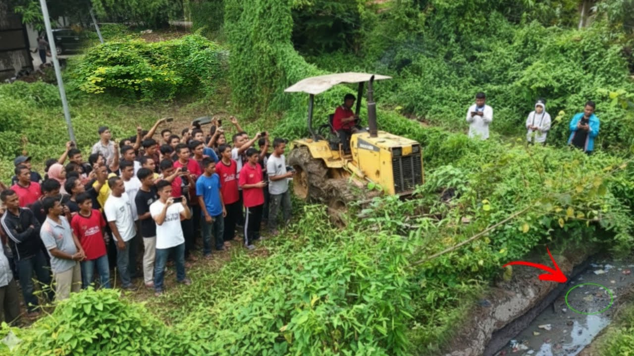 First Start New Perfect Project !! Complete100% Landfill Process by Bulldozer Komat'su & Dump Truck