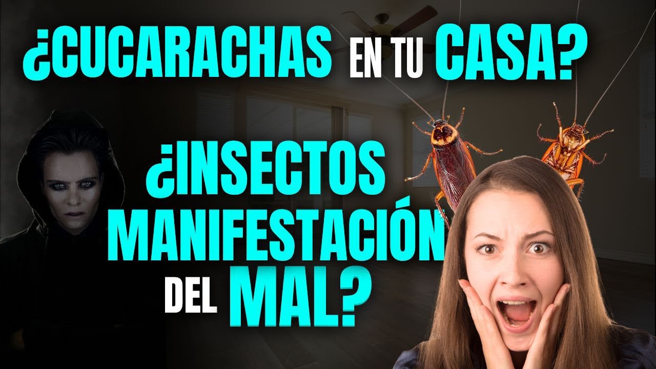 🚨¿CUCARACHAS en tu CASA? ¿INSECTOS MANIFESTACIÓN DEL MAL?