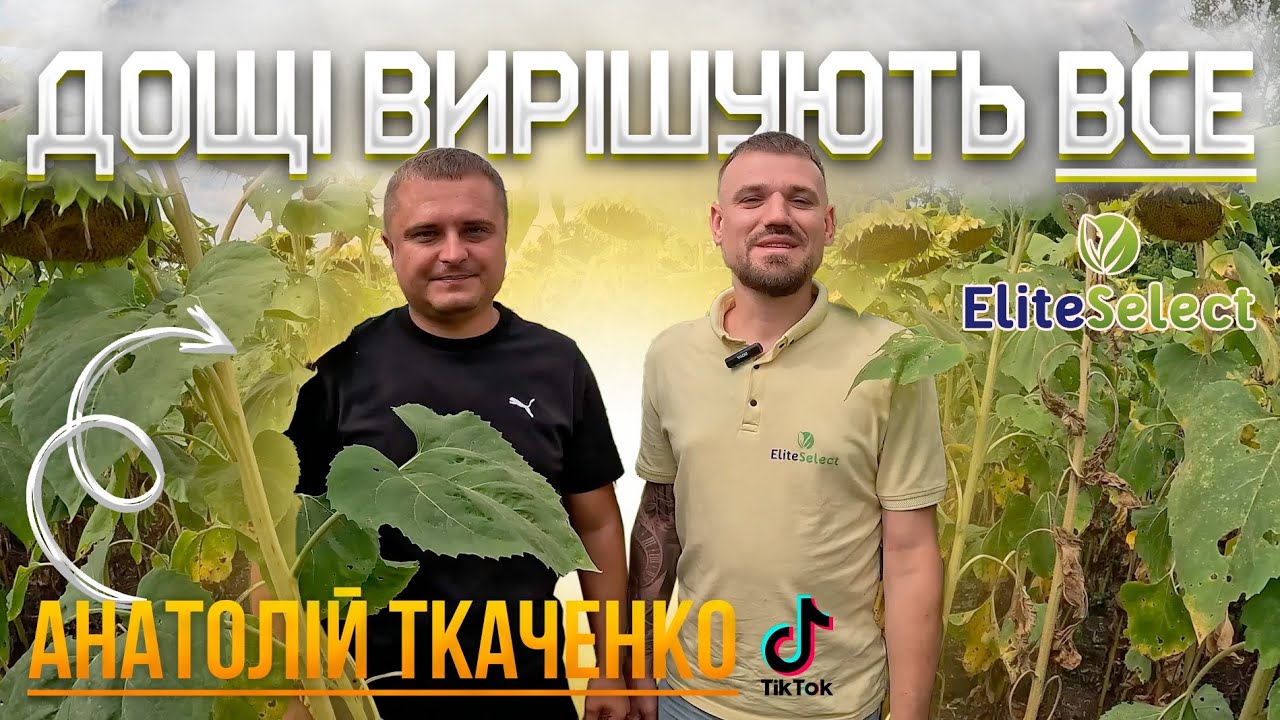 АНАТОЛІЙ ТКАЧЕНКО. Дощі вирішують все в сільському господарстві 