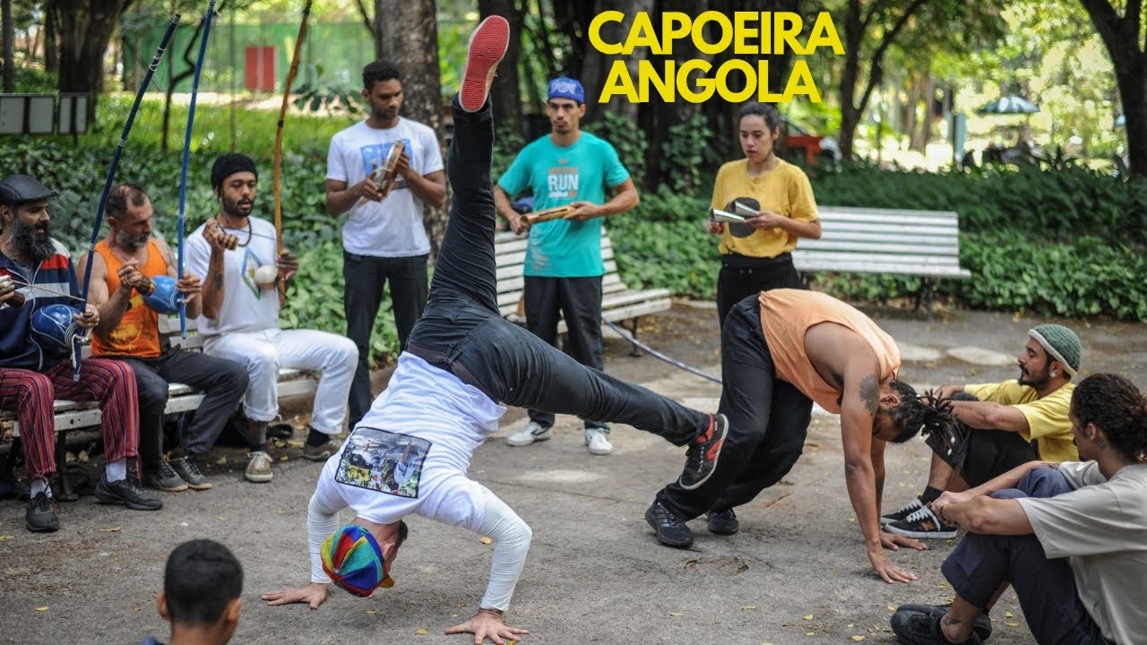 Roda do Parque em BH: Capoeira Angola à sombra de um Ficus gigante