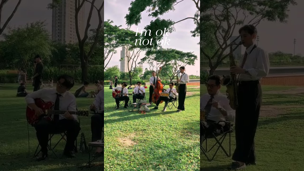 I’m ok // not ok - BOYdPOD ft. Billkin / Cover by Bitter Brothers