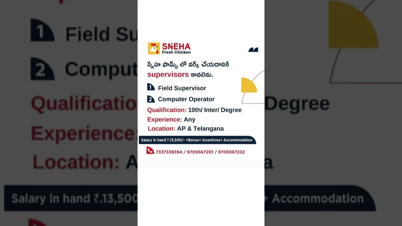 Fresher jobs-2023 | Jobs In Hyderabad-2023 | Magic Bus India-2023 | Free Jobs-2023