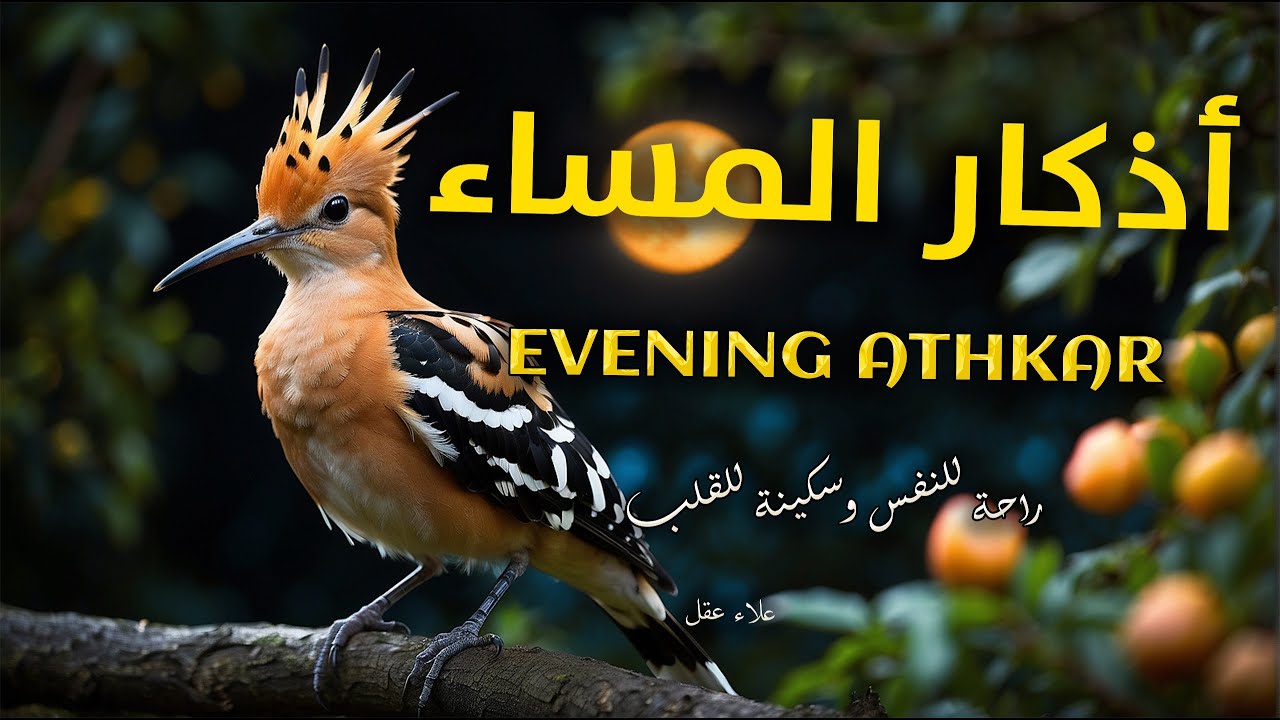 اذكار المساء راحه نفسيه بصوت يريح قلبك 💚 حصن نفسك وبيتك من الشيطان - azkar evening | By Alaa Aqel