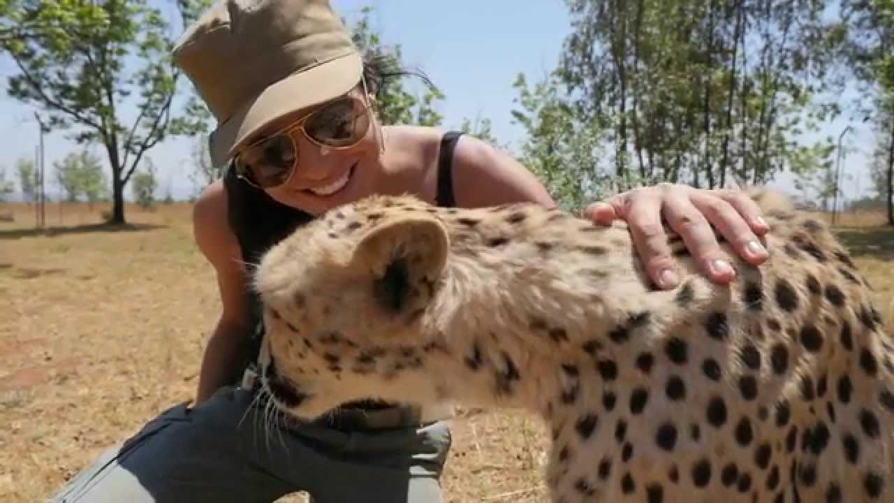 Save The Cheetah - Julia Wheeler Photography