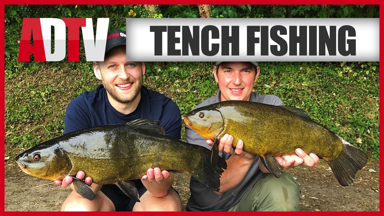 How To Catch Tench - Tench Fishing Tips