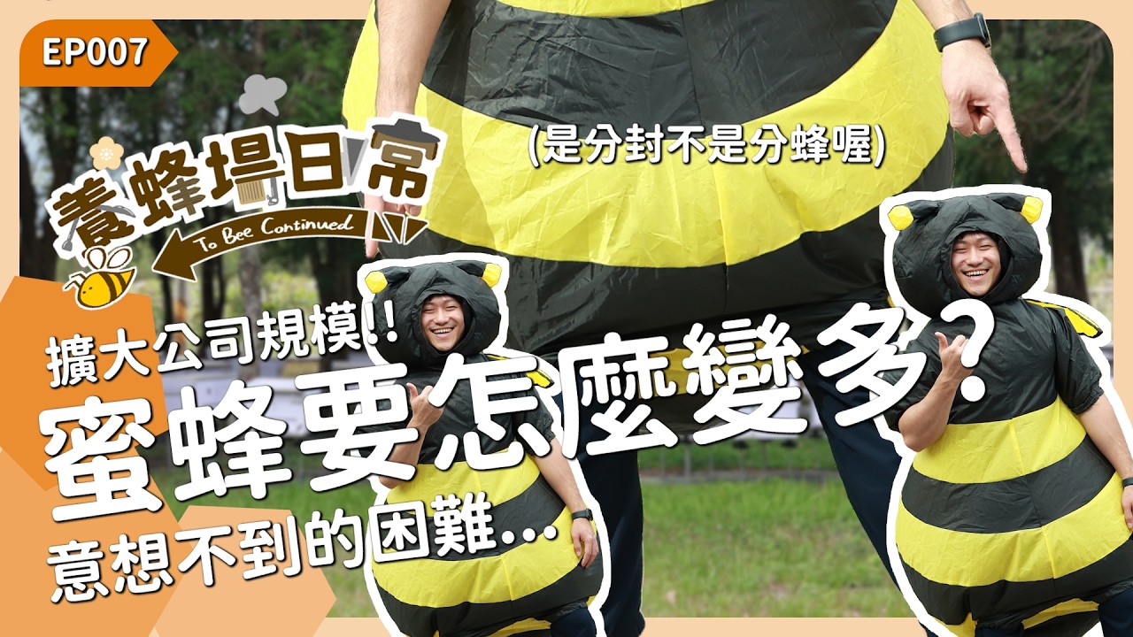 蜜蜂要怎麼變多？擴大公司規模好難...《養蜂場日常 EP007》