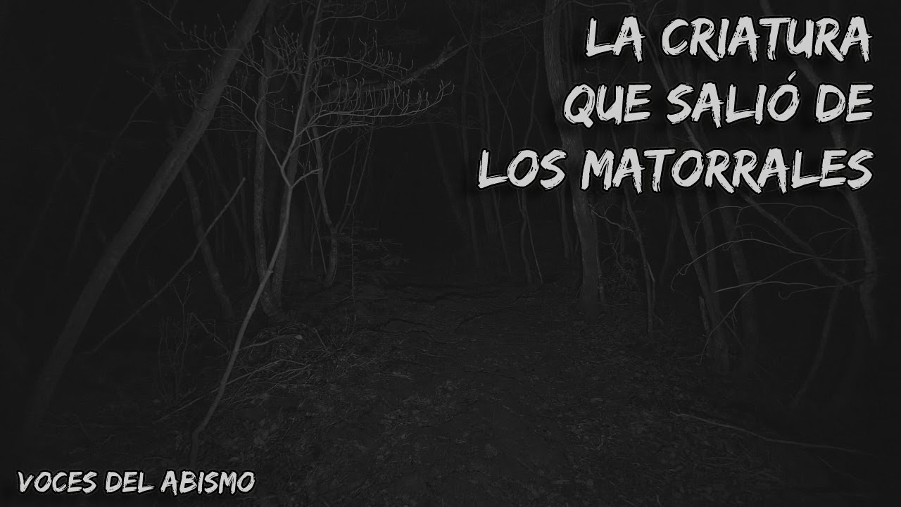 No debí salir al bosque esa noche (Y más relatos aterradores)