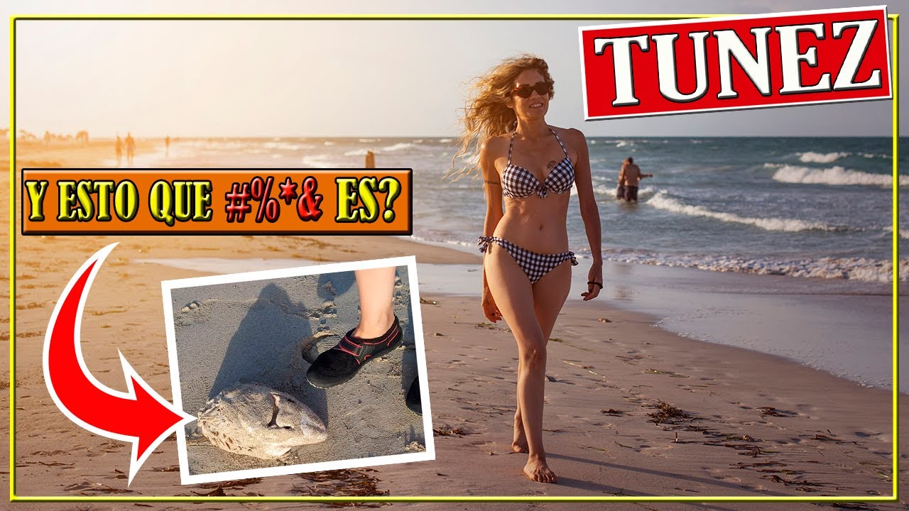 Túnez Qué ver Isla Djerba