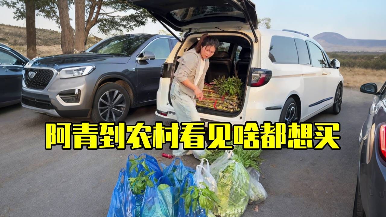 阿青一进村就开启“买买买”模式，恨不得把整个集市搬回家！【青妹妹】