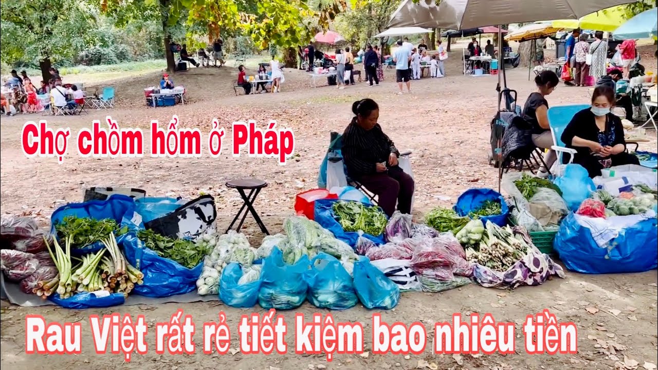Chợ chồm hổm ở Pháp/ lần đầu Mai đến đây mua đủ rau củ Việt/ Mai le cuộc sống ở Pháp 🇫🇷