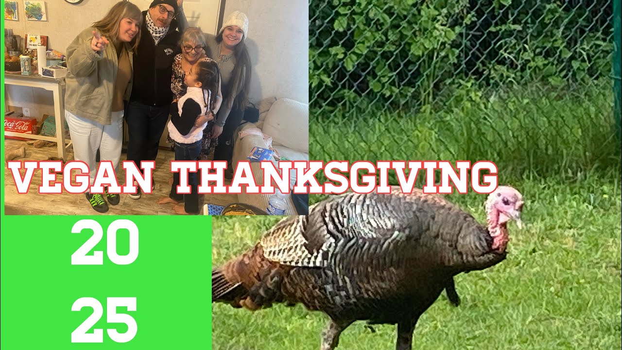 Memories of Thanksgiving (November 27, 2025). @veganinaction9750 